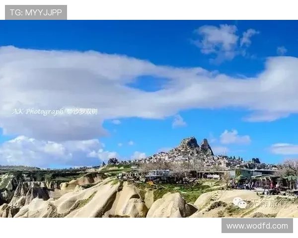 聚焦世界网球赛场风云变幻与新生代力量崛起全景观察时代浪潮争锋 - 副本 - 副本 (3)