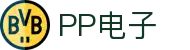 PP电子·(中国)官方网站